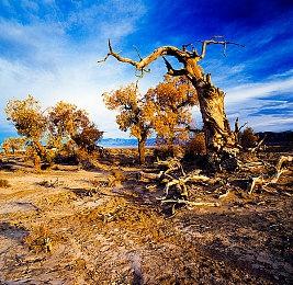 《神秘海域：盗贼遗产合集》更新 优化鼠标控制效果